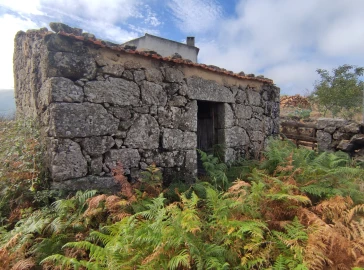Quinta T0 para Venda em Figueiró da Serra e Freixo da Serra