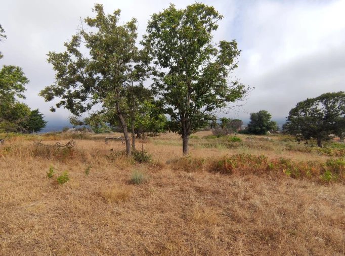Quinta T0 para Venda em Figueiró da Serra e Freixo da Serra Foto 2