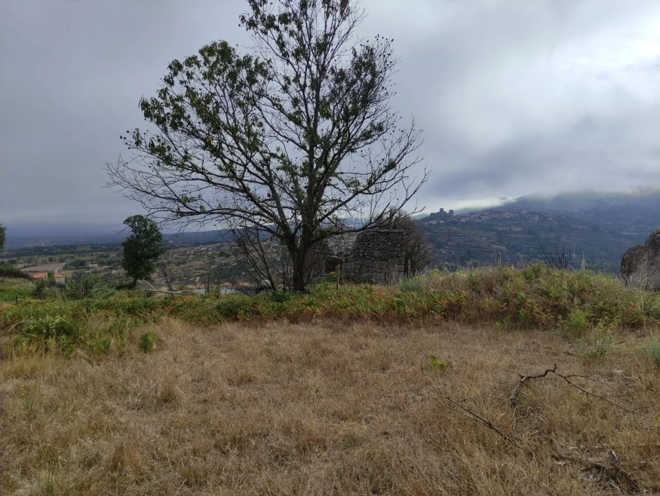 Quinta T0 para Venda em Figueiró da Serra e Freixo da Serra Foto 6