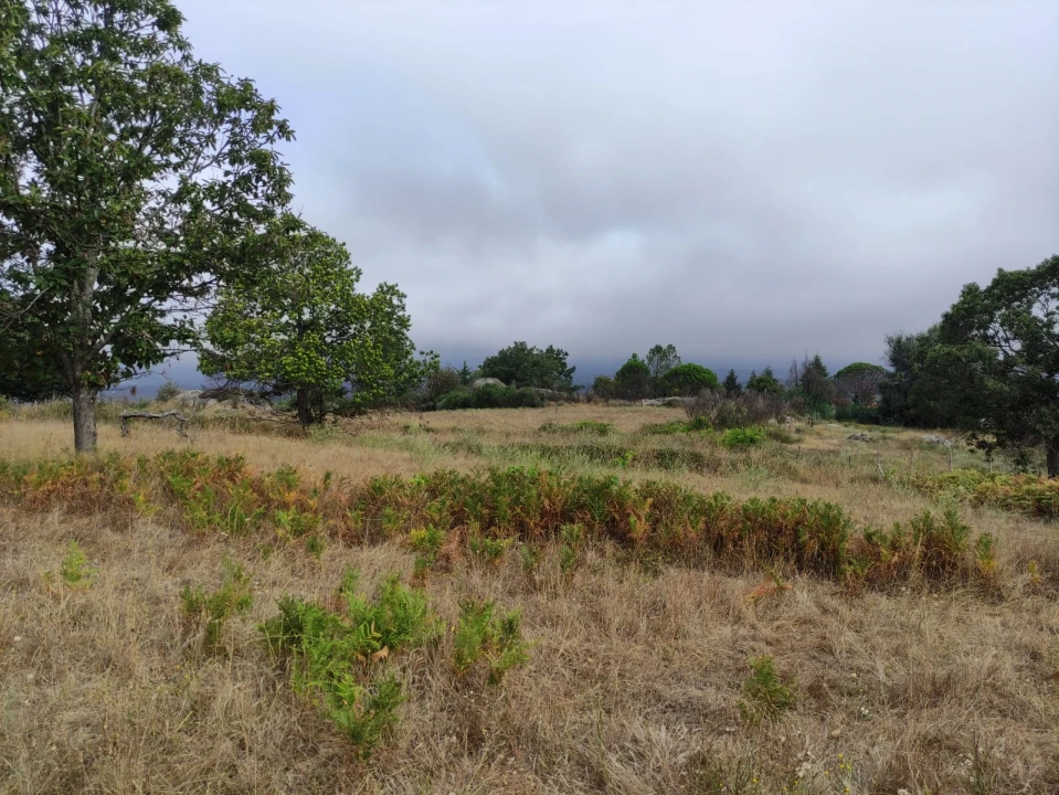 Quinta T0 para Venda em Figueiró da Serra e Freixo da Serra Foto 5