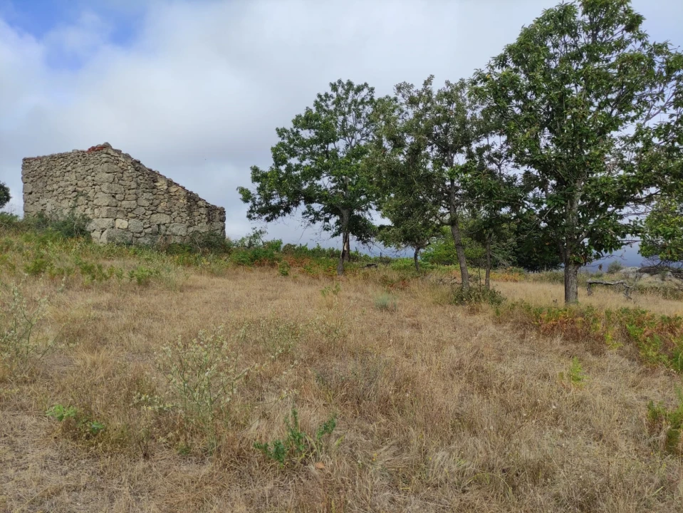 Quinta T0 para Venda em Figueiró da Serra e Freixo da Serra Foto 1