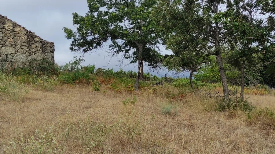 Quinta T0 para Venda em Figueiró da Serra e Freixo da Serra