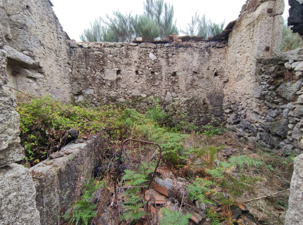 Quinta T0 para Venda em Figueiró da Serra e Freixo da Serra Foto 7