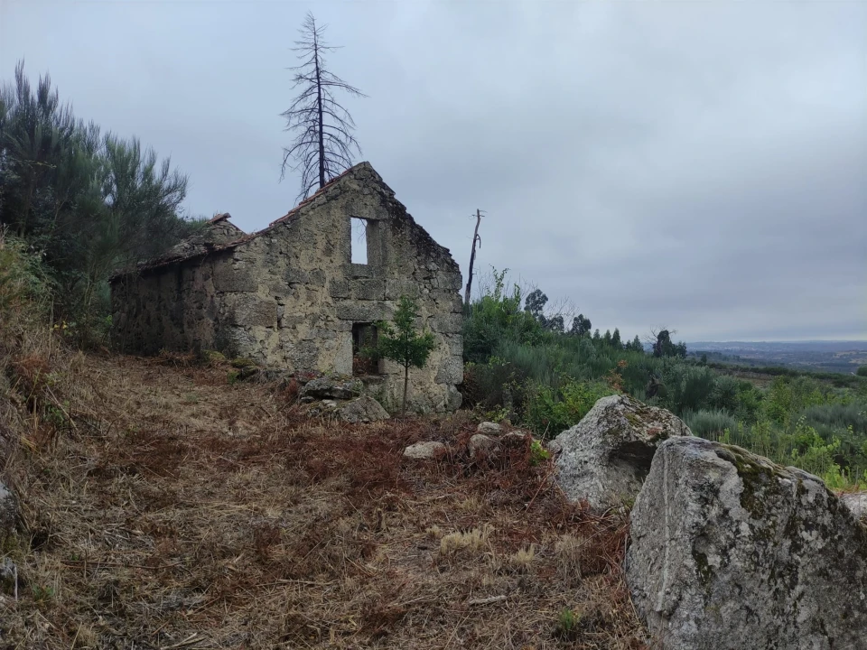 Quinta T0 para Venda em Figueiró da Serra e Freixo da Serra Foto 1