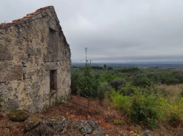Quinta T0 para Venda em Figueiró da Serra e Freixo da Serra