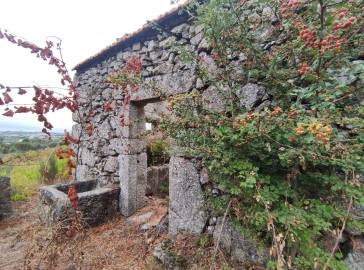 Quinta T0 para Venda em Figueiró da Serra e Freixo da Serra