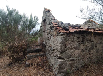 Quinta T0 para Venda em Figueiró da Serra e Freixo da Serra