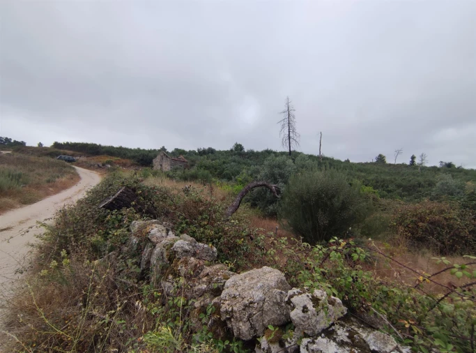 Quinta T0 para Venda em Figueiró da Serra e Freixo da Serra Foto 4