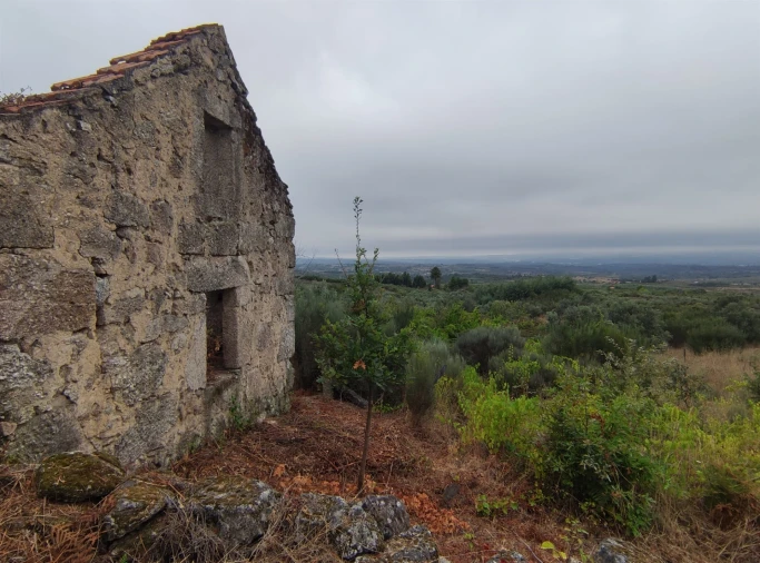 Quinta T0 para Venda em Figueiró da Serra e Freixo da Serra Foto 8