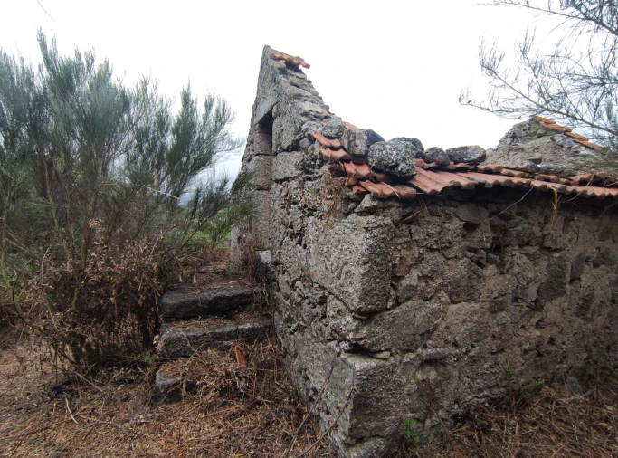 Quinta T0 para Venda em Figueiró da Serra e Freixo da Serra Foto 6