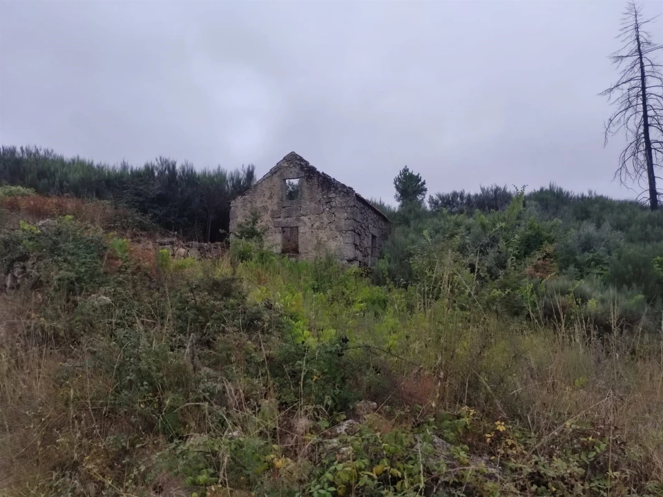 Quinta T0 para Venda em Figueiró da Serra e Freixo da Serra Foto 3