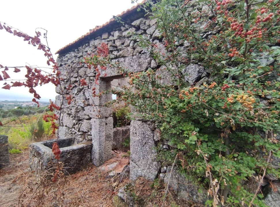 Quinta T0 para Venda em Figueiró da Serra e Freixo da Serra Foto 5
