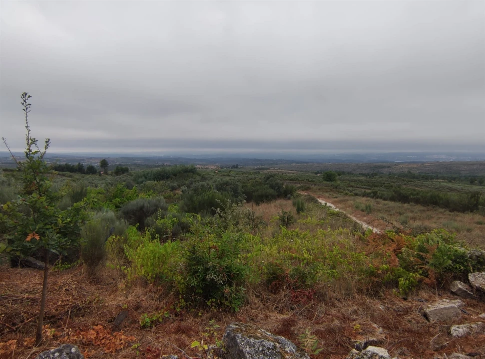 Quinta T0 para Venda em Figueiró da Serra e Freixo da Serra Foto 9