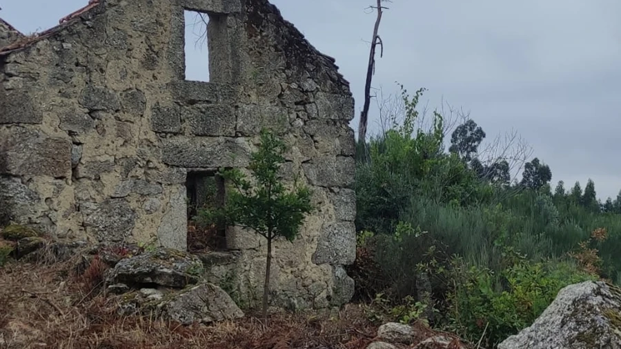 Quinta T0 para Venda em Figueiró da Serra e Freixo da Serra