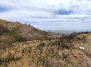 Quinta T0 para Venda em Figueiró da Serra e Freixo da Serra