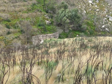 Quinta T0 para Venda em Figueiró da Serra e Freixo da Serra
