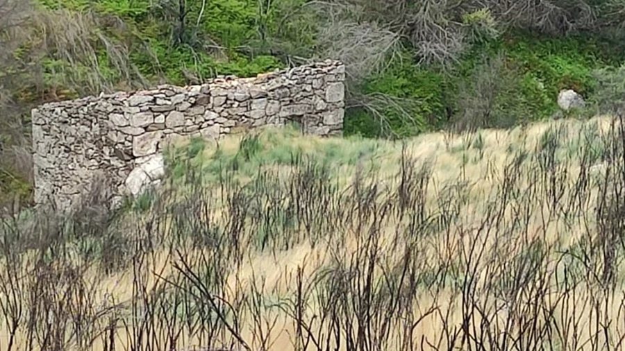 Quinta T0 para Venda em Figueiró da Serra e Freixo da Serra