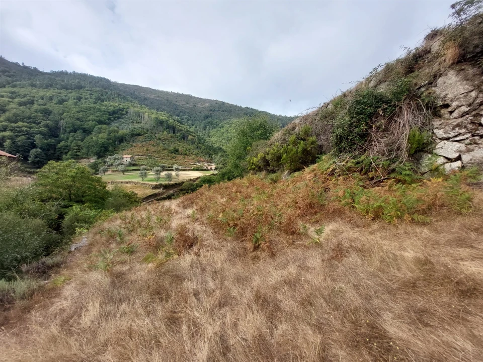 Quinta T0 para Venda em Loriga Foto 15