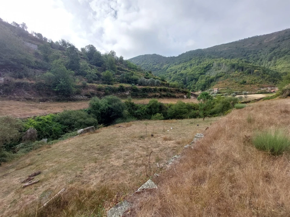 Quinta T0 para Venda em Loriga Foto 14
