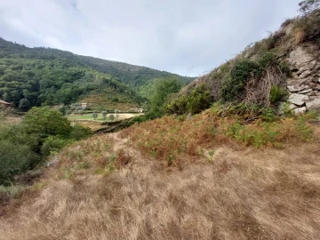 Quinta T0 para Venda em Loriga