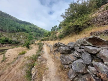 Quinta T0 para Venda em Loriga