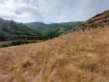 Quinta T0 para Venda em Loriga