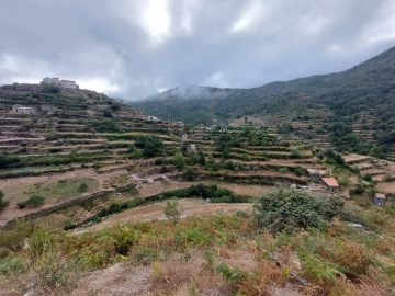 Quinta T0 para Venda em Loriga