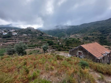 Quinta T0 para Venda em Loriga