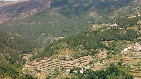 Quinta T0 para Venda em Loriga