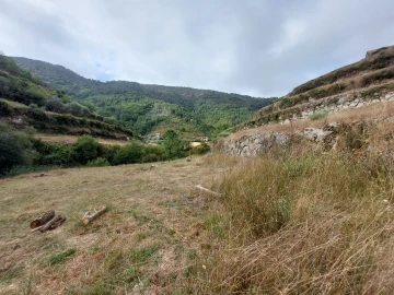 Quinta T0 para Venda em Loriga