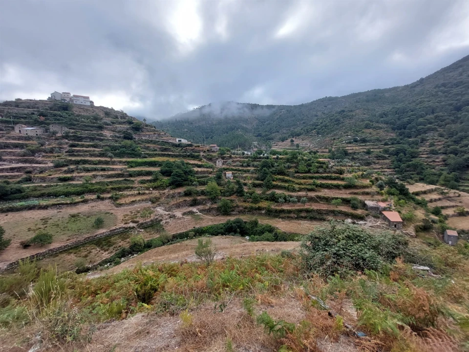 Quinta T0 para Venda em Loriga Foto 4