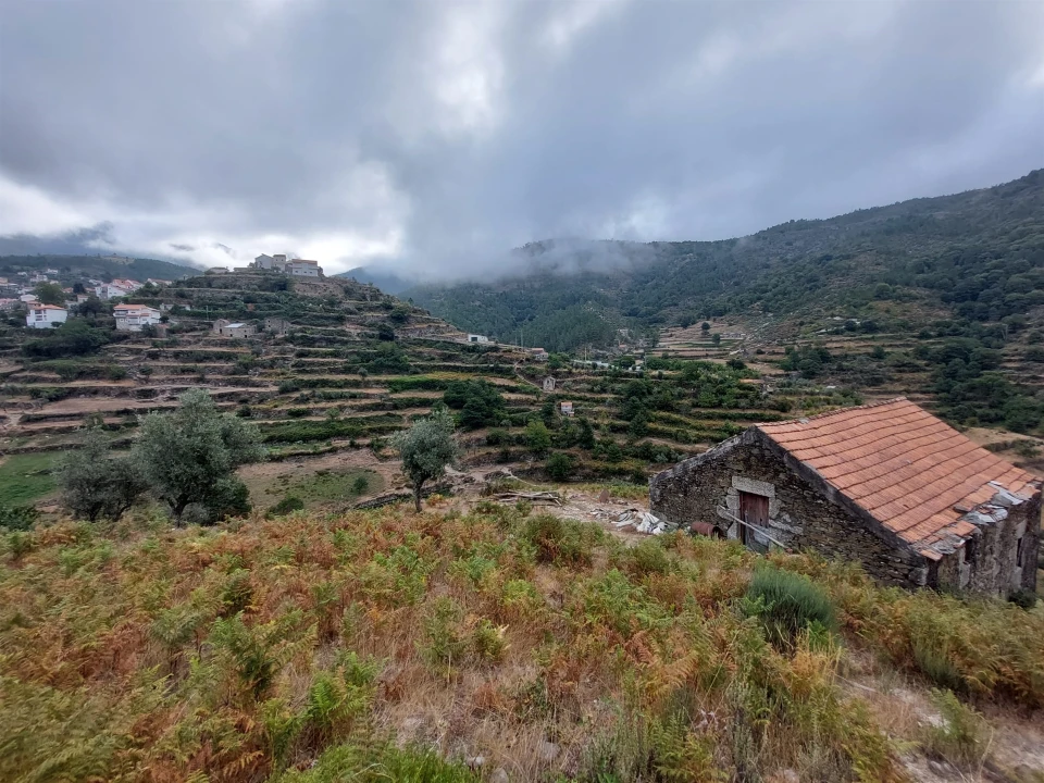 Quinta T0 para Venda em Loriga Foto 5