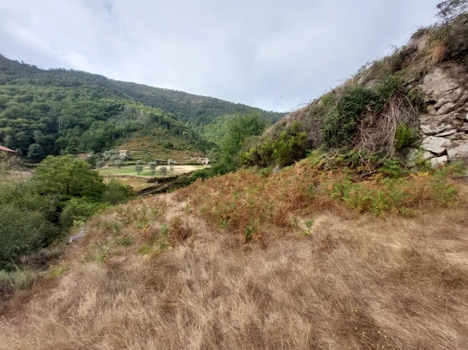Quinta T0 para Venda em Loriga Foto 15
