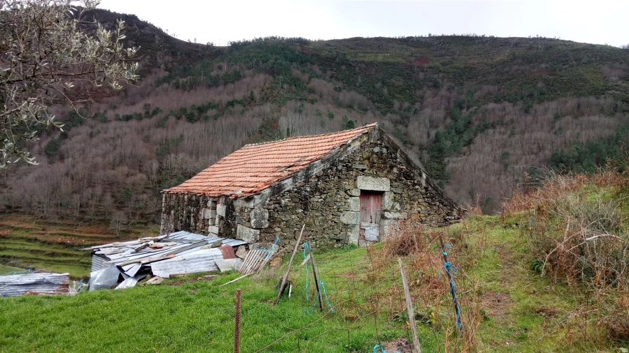 Quinta T0 para Venda em Loriga Foto 6