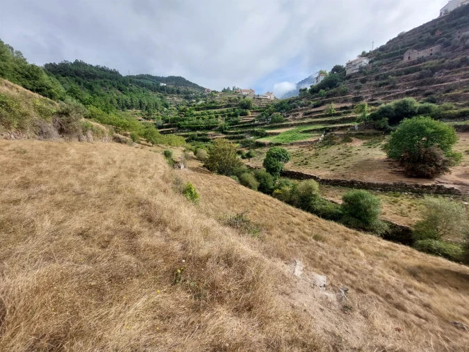 Quinta T0 para Venda em Loriga Foto 20