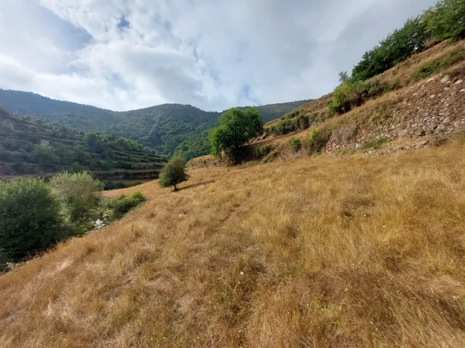 Quinta T0 para Venda em Loriga Foto 19