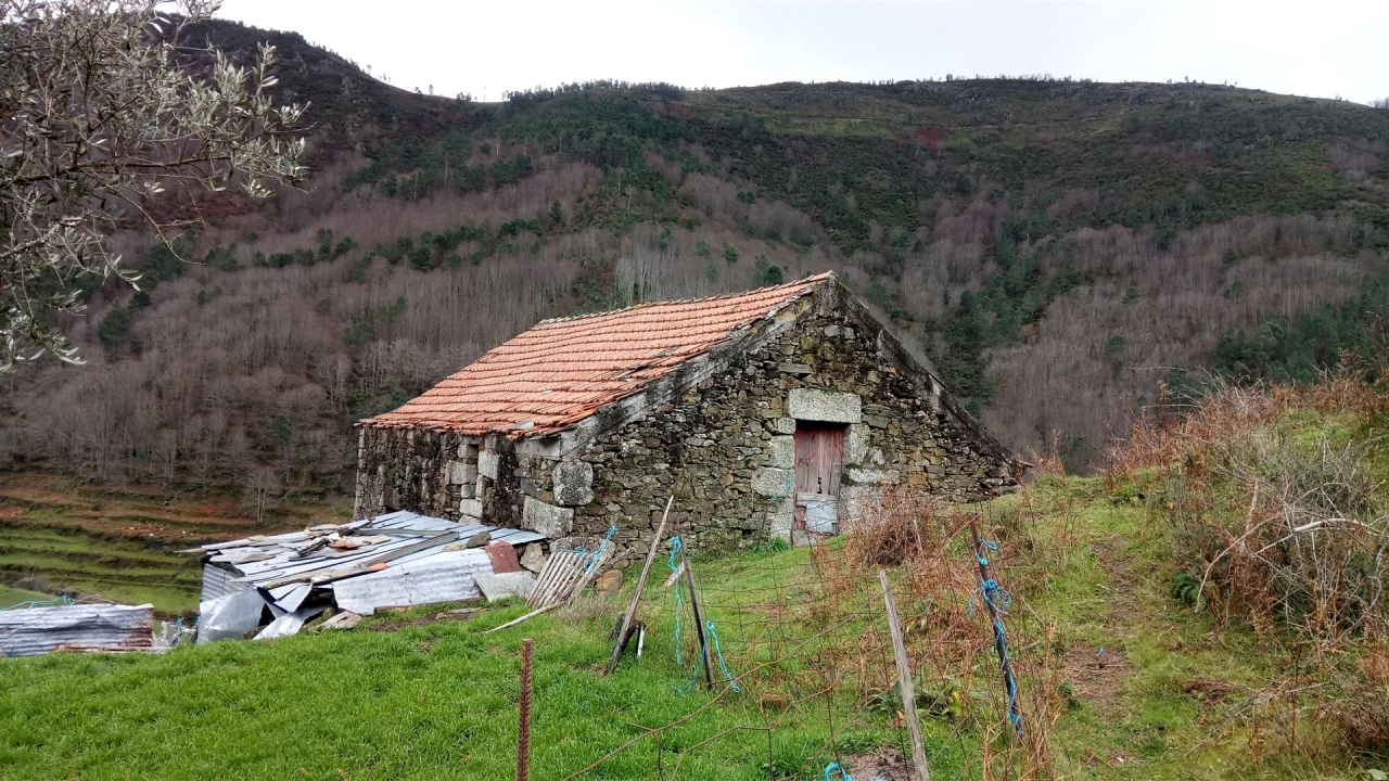 Quinta T0 para Venda em Loriga Foto 6