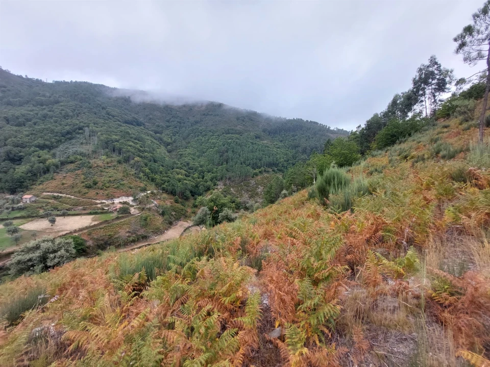 Quinta T0 para Venda em Loriga Foto 7