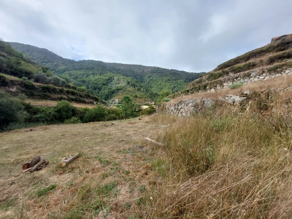 Quinta T0 para Venda em Loriga Foto 17