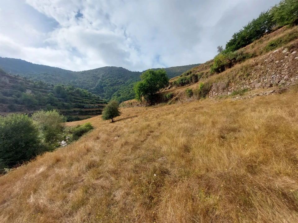 Quinta T0 para Venda em Loriga Foto 19