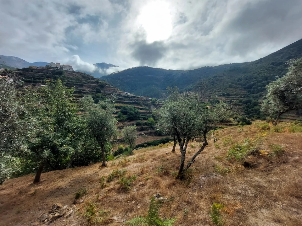 Quinta T0 para Venda em Loriga Foto 22
