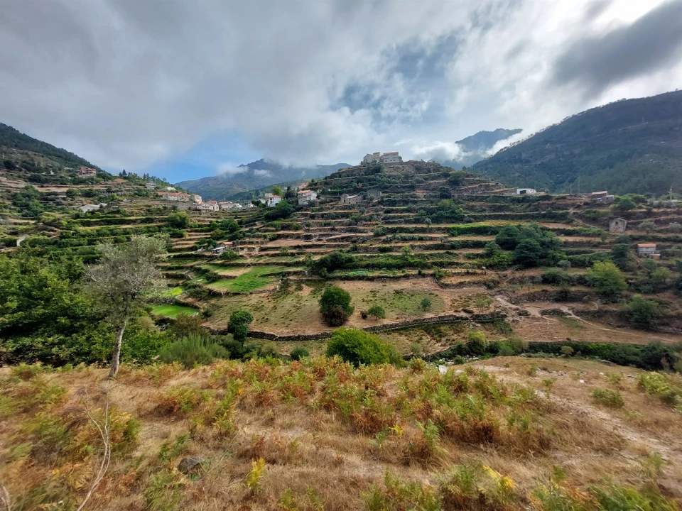 Quinta T0 para Venda em Loriga Foto 3