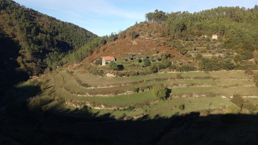 Quinta T0 para Venda em Loriga