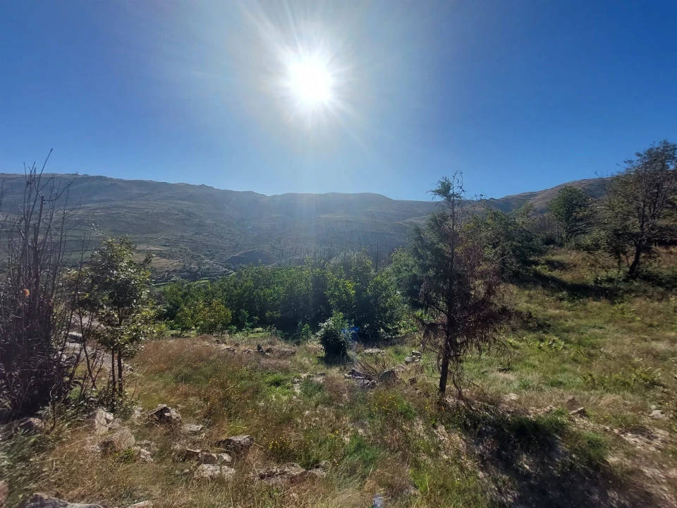 Terreno Agricola ou Rústico para Venda em Figueiró da Serra e Freixo da Serra Foto 2