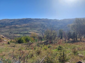 Terreno Agricola ou Rústico para Venda em Figueiró da Serra e Freixo da Serra