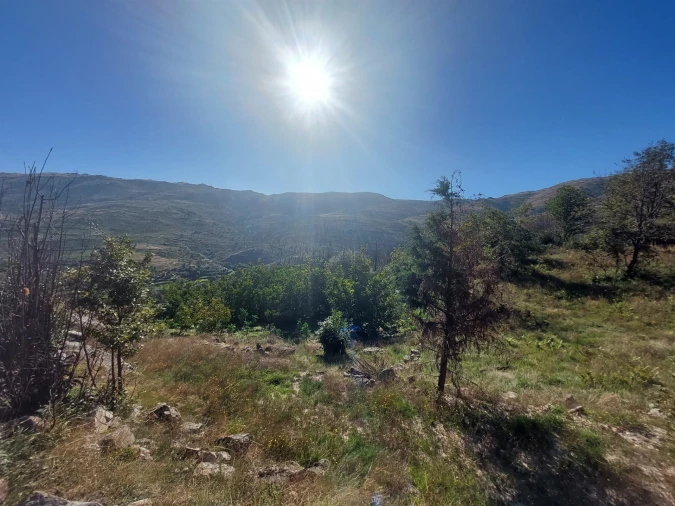 Terreno Agricola ou Rústico para Venda em Figueiró da Serra e Freixo da Serra Foto 2