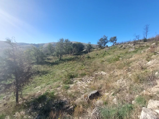 Terreno Agricola ou Rústico para Venda em Figueiró da Serra e Freixo da Serra Foto 3