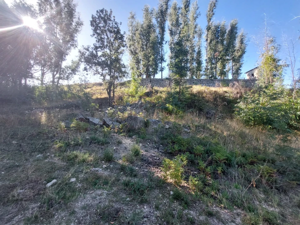 Quinta T0 para Venda em Figueiró da Serra e Freixo da Serra Foto 10