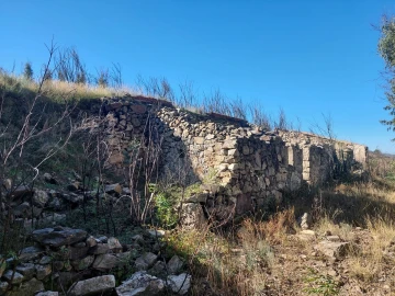 Quinta T0 para Venda em Figueiró da Serra e Freixo da Serra