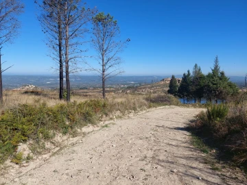 Quinta T0 para Venda em Figueiró da Serra e Freixo da Serra